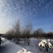 Семён